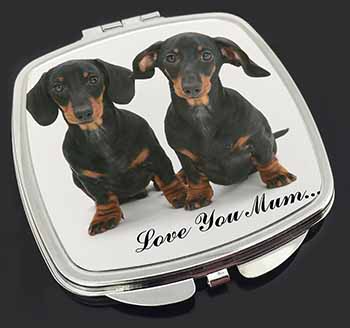 Dachshund Dogs 