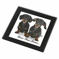 Dachshund Dogs 