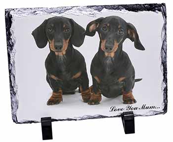 Dachshund Dogs 