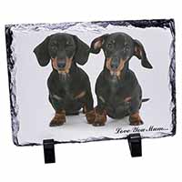 Dachshund Dogs 