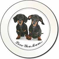 Dachshund Dogs 