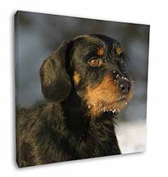 Long-Haired Dachshund Dog Square Canvas 12"x12" Wall Art Picture Print