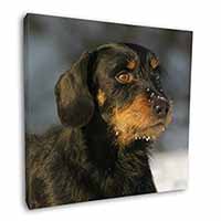 Long-Haired Dachshund Dog Square Canvas 12"x12" Wall Art Picture Print