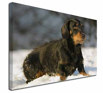 Long-Haired Dachshund Dog Canvas X-Large 30"x20" Wall Art Print