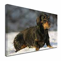 Long-Haired Dachshund Dog Canvas X-Large 30"x20" Wall Art Print