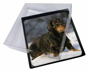 4x Long-Haired Dachshund Dog Picture Table Coasters Set in Gift Box