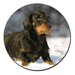 Long-Haired Dachshund Dog Fridge Magnet Printed Full Colour