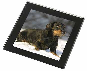 Long-Haired Dachshund Dog Black Rim High Quality Glass Coaster