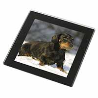 Long-Haired Dachshund Dog Black Rim High Quality Glass Coaster