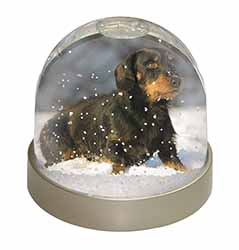 Long-Haired Dachshund Dog Snow Globe Photo Waterball