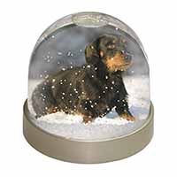 Long-Haired Dachshund Dog Snow Globe Photo Waterball