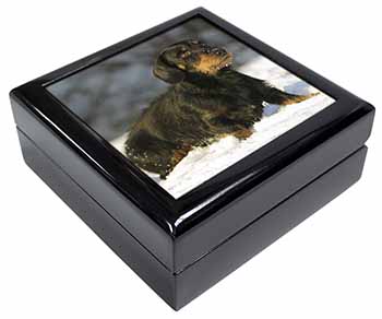 Long-Haired Dachshund Dog Keepsake/Jewellery Box