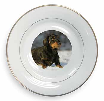 Long-Haired Dachshund Dog Gold Rim Plate Printed Full Colour in Gift Box