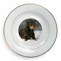 Long-Haired Dachshund Dog Gold Rim Plate Printed Full Colour in Gift Box