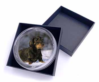 Long-Haired Dachshund Dog Glass Paperweight in Gift Box