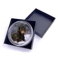 Long-Haired Dachshund Dog Glass Paperweight in Gift Box