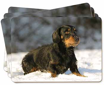 Long-Haired Dachshund Dog Picture Placemats in Gift Box