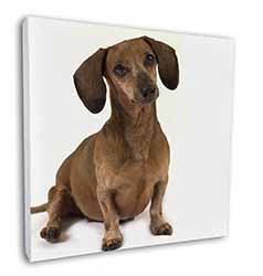 Cute Dachshund Dog Square Canvas 12"x12" Wall Art Picture Print