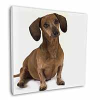 Cute Dachshund Dog Square Canvas 12"x12" Wall Art Picture Print