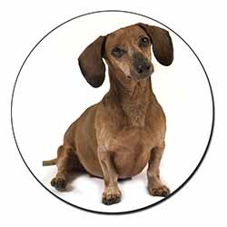 Cute Dachshund Dog Fridge Magnet Printed Full Colour