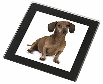 Cute Dachshund Dog Black Rim High Quality Glass Coaster