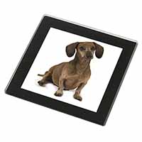 Cute Dachshund Dog Black Rim High Quality Glass Coaster
