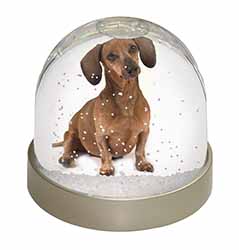 Cute Dachshund Dog Snow Globe Photo Waterball