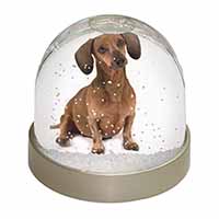 Cute Dachshund Dog Snow Globe Photo Waterball