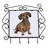 Cute Dachshund Dog Wrought Iron Key Holder Hooks