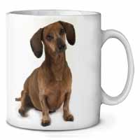 Cute Dachshund Dog Ceramic Coffee Mug/Tea Cup