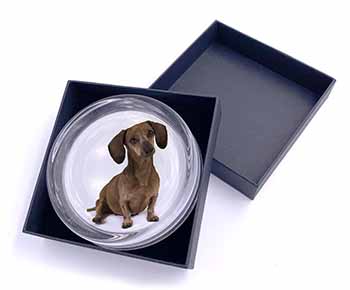 Cute Dachshund Dog Glass Paperweight in Gift Box