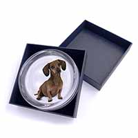 Cute Dachshund Dog Glass Paperweight in Gift Box