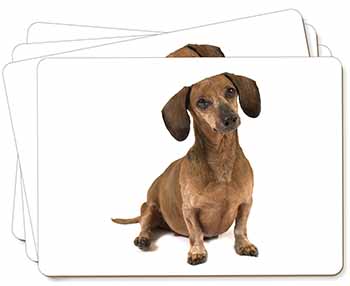 Cute Dachshund Dog Picture Placemats in Gift Box