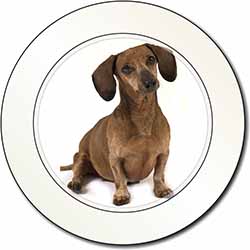 Cute Dachshund Dog Car or Van Permit Holder/Tax Disc Holder
