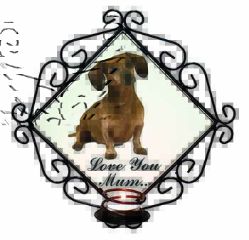 Dachshund Dog 
