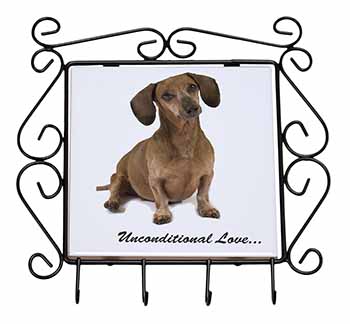 Dachshund Dog 