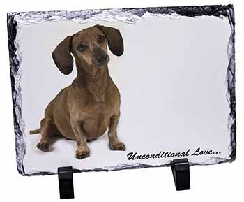 Dachshund Dog 