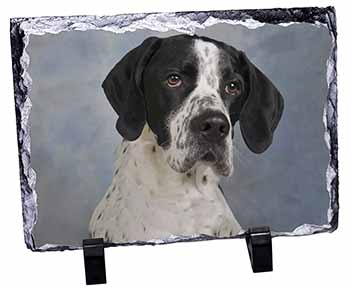 English Pointer Dog, Stunning Photo Slate