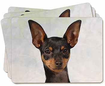 English Toy Terrier Dog Picture Placemats in Gift Box