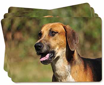 Foxhound Dog Picture Placemats in Gift Box