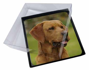 4x Fox Red Labrador Picture Table Coasters Set in Gift Box
