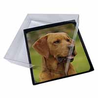 4x Fox Red Labrador Picture Table Coasters Set in Gift Box