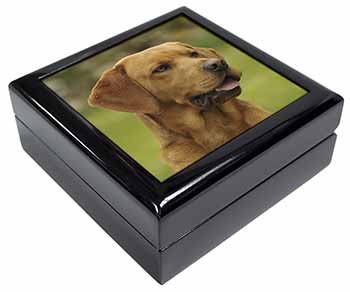 Fox Red Labrador Keepsake/Jewellery Box