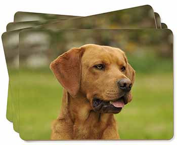 Fox Red Labrador Picture Placemats in Gift Box