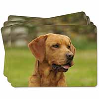Fox Red Labrador Picture Placemats in Gift Box