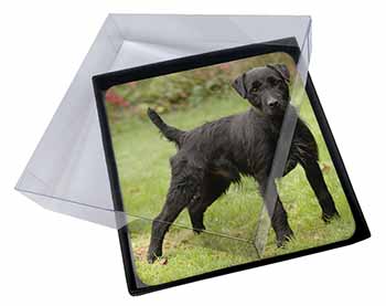 4x Fell Terrier Dog Picture Table Coasters Set in Gift Box