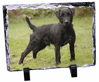 Fell Terrier Dog, Stunning Photo Slate