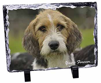Welsh Fox Terrier Dog "Yours Forever...", Stunning Photo Slate