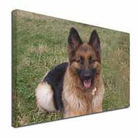 Alsatian/ German Shepherd Dog Canvas X-Large 30"x20" Wall Art Print