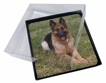 4x Alsatian/ German Shepherd Dog Picture Table Coasters Set in Gift Box